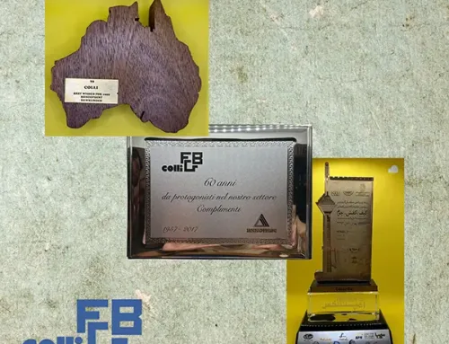 2017 – 60 Anni di Eccellenza nel Settore Calzaturiero